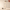 Promotion banner
