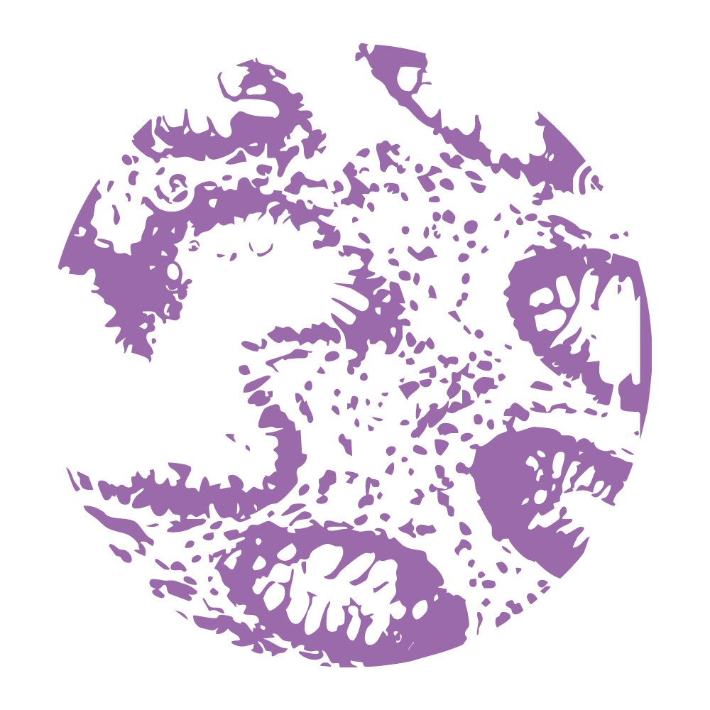 Purple abstract pattern inspired by the folds of the intestine.