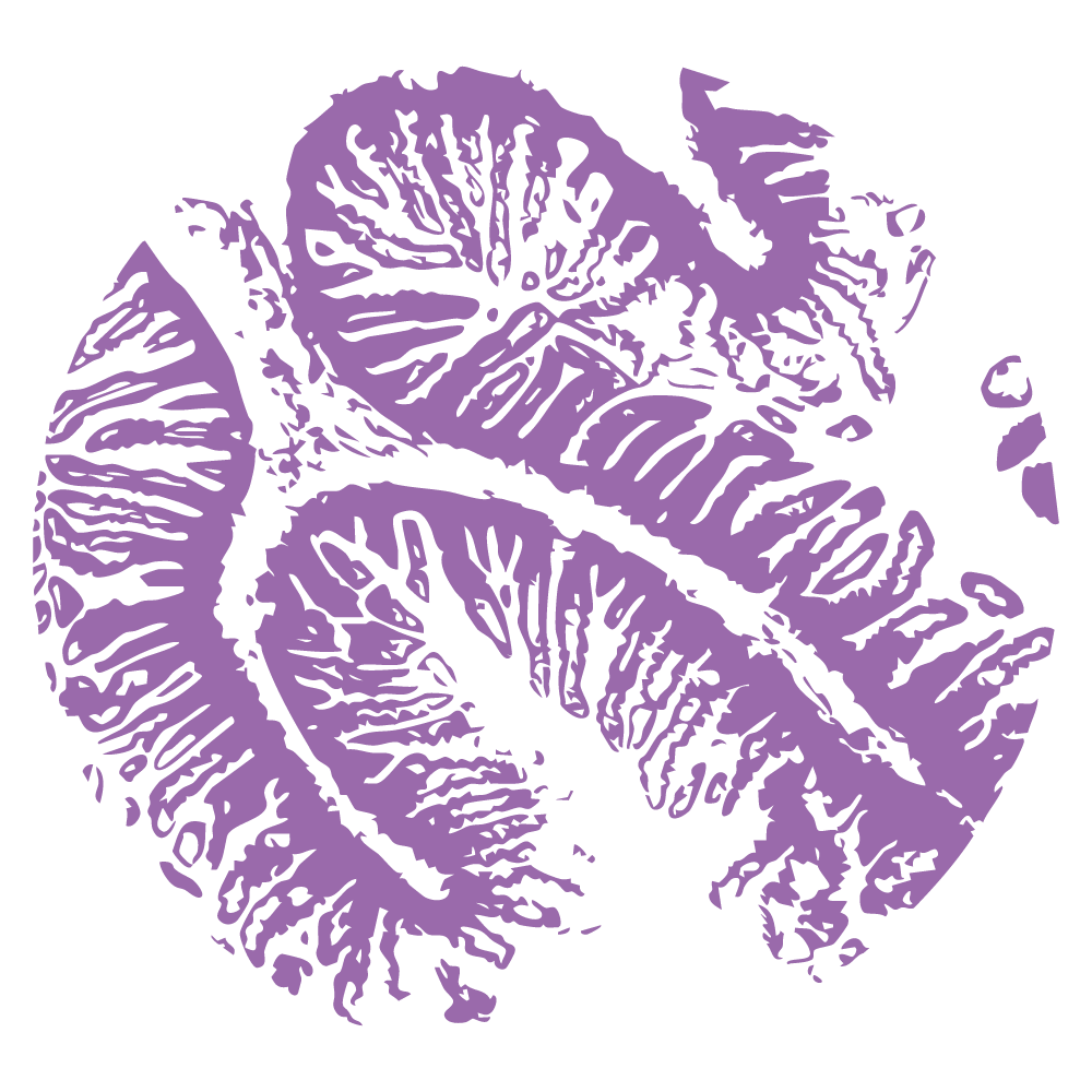 Purple abstract pattern inspired by the folds of the intestine.