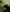 Promotion banner